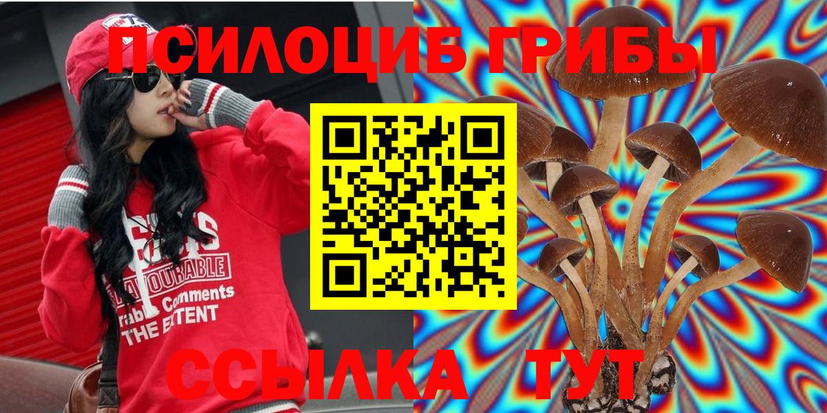 Псилоцибиновые грибы прущие грибы Шумерля