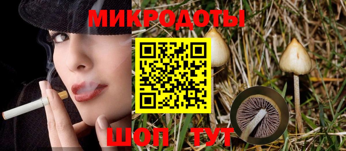 Галлюциногенные грибы Psilocybe  Шумерля 